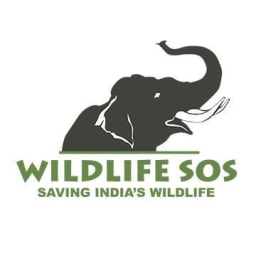 Wildlife S.O.S logo