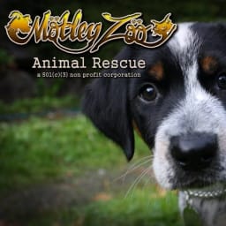 Motley Zoo Animal Rescue logo