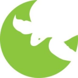 SEE Turtles logo