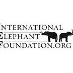 International Elephant Foundation logo