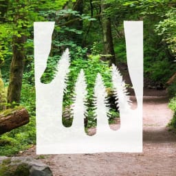 Forest Park Conservancy logo