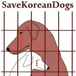 Save Korean Dogs logo