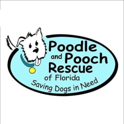 Poodle and Pooch Rescue of Florida logo