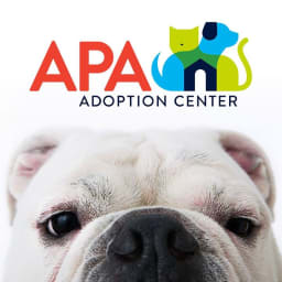 Animal Protective Association of Missouri (APA) logo