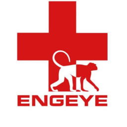 Engeye logo
