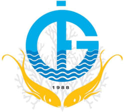 Guiuan Development Foundation Inc. logo