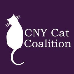 CNY Cat Coalition logo