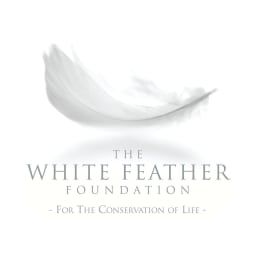 The White Feather Foundation logo