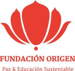 Fundación Origen logo