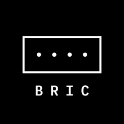 Bric Foundation logo