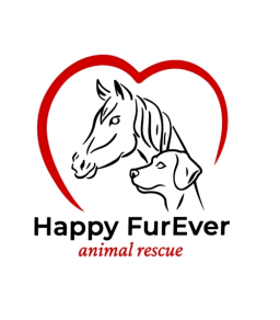 501C3 Animal Rescue