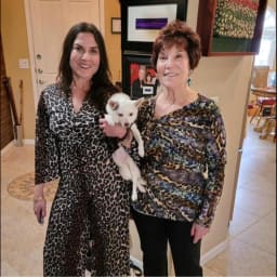 User or nonprofit avatar