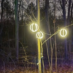 User or nonprofit avatar