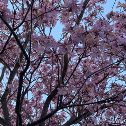 User or nonprofit avatar