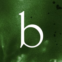 berlied logo 