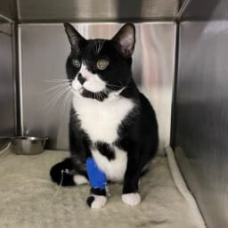 User or nonprofit avatar