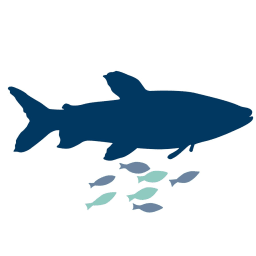 Fish Welfare Initiative logo