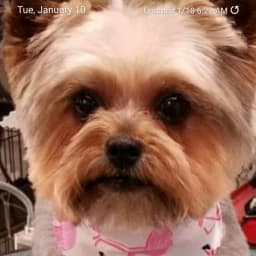 User or nonprofit avatar