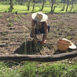 User or nonprofit avatar