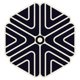 Amber Initiative Foundation Inc logo