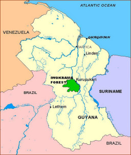 Iwokrama Friends - USA logo