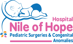 Nile of Hope Foundation for Community Services and Development logo