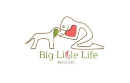 Big Little Life Animal Rescue International Inc logo