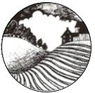 Valley Community Land Trust Incorporated logo