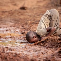 User or nonprofit avatar