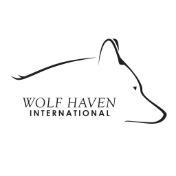 Wolf Haven International