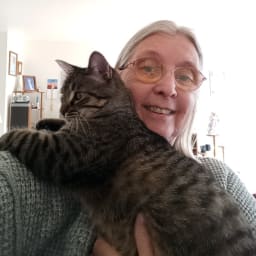 User or nonprofit avatar