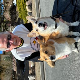 User or nonprofit avatar