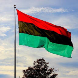 User or nonprofit avatar