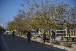 University of Balamand logo