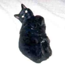 User or nonprofit avatar