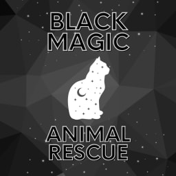 Black Magic Animal Rescue logo