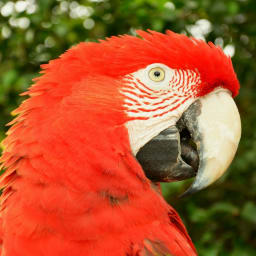 User or nonprofit avatar