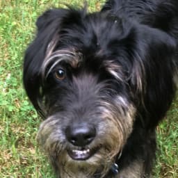 User or nonprofit avatar