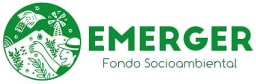 Fondo Emerger logo