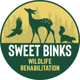 Sweet Binks Rescue, Inc. logo