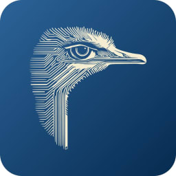 AI Safety South Africa logo