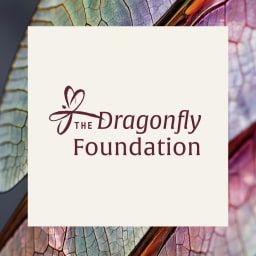 The Dragonfly Foundation logo