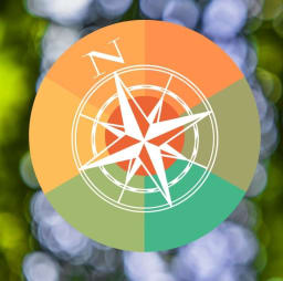 Small Town Hope logo