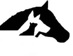 Stop Animal Cruelty 501-620-3160