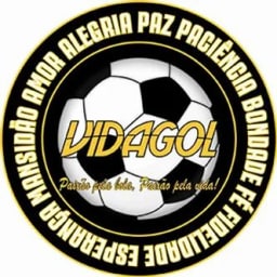 VidaGol logo