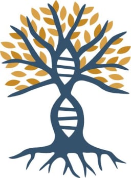 The Holocaust Reunion Project logo