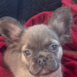 User or nonprofit avatar