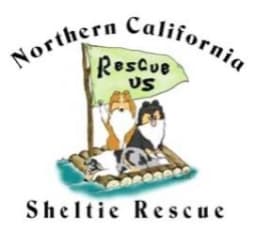 NorCal Sheltie Rescue logo