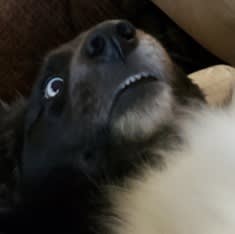 User or nonprofit avatar