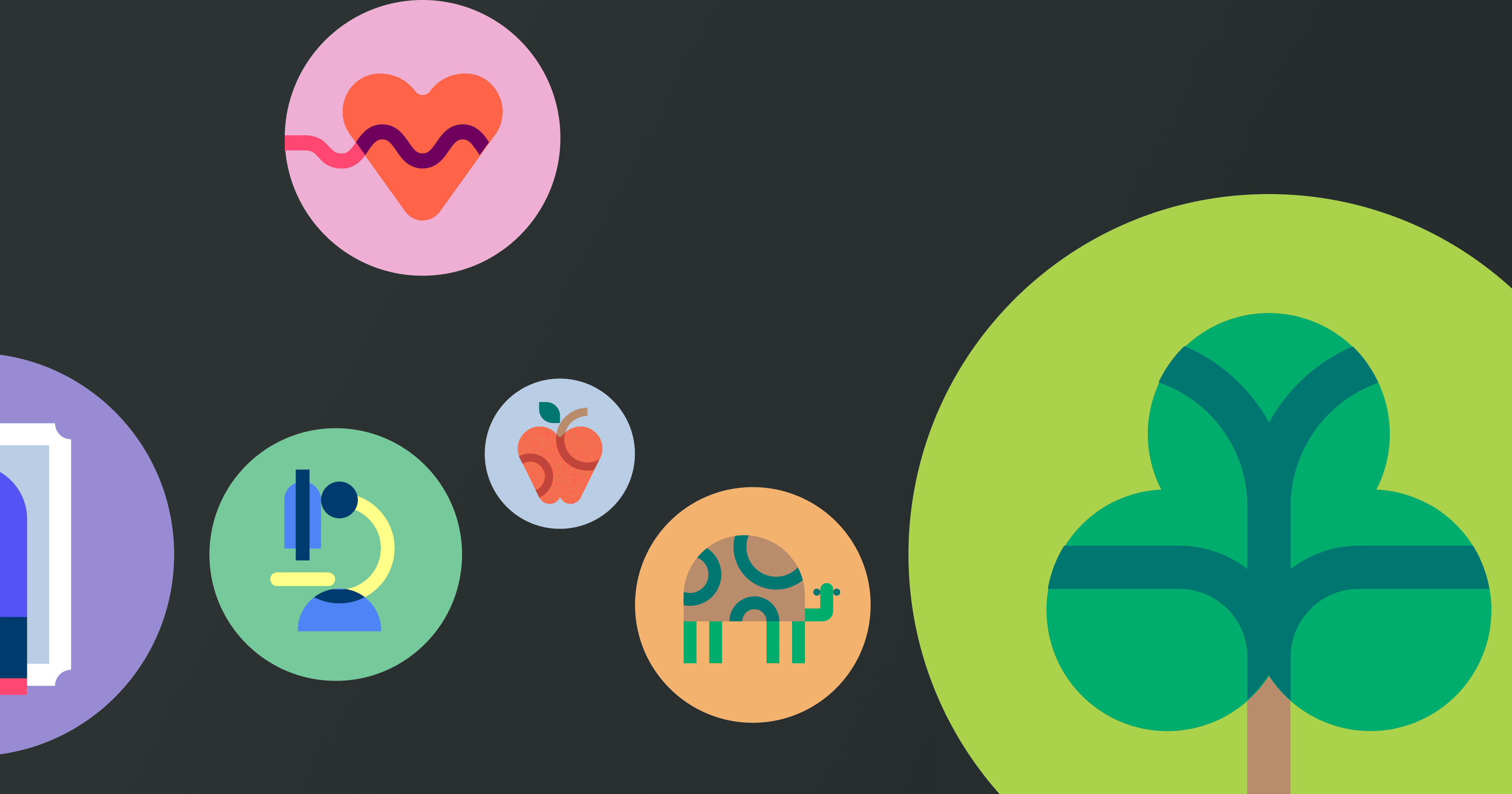 A collection of Every.org's cause icons. There is an apple for education, a tree for environment, a microscope for research, a heart for health, and a turtle for animals. 